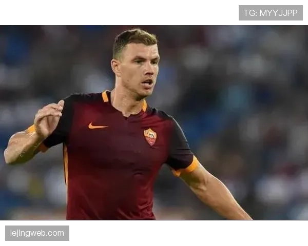 哲科与伊布高位单点驱动能力分化：转换效率差异解析